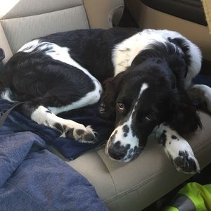 Meet your Posher, Kate